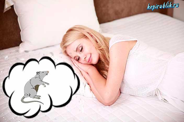 Женщина видит крысу во сне
